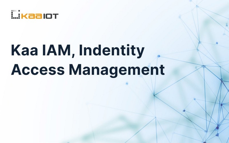 Kaa Identity Access Management (IAM)